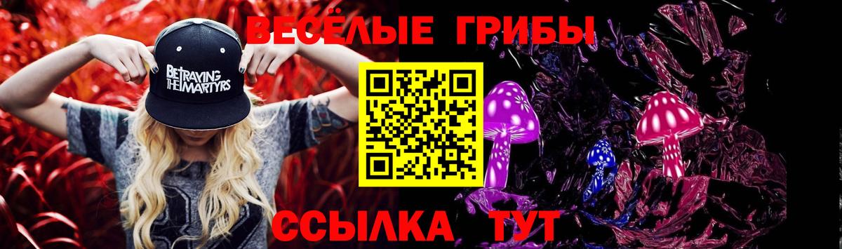 Галлюциногенные грибы Psilocybe  Вход с VPN  Похвистнево 